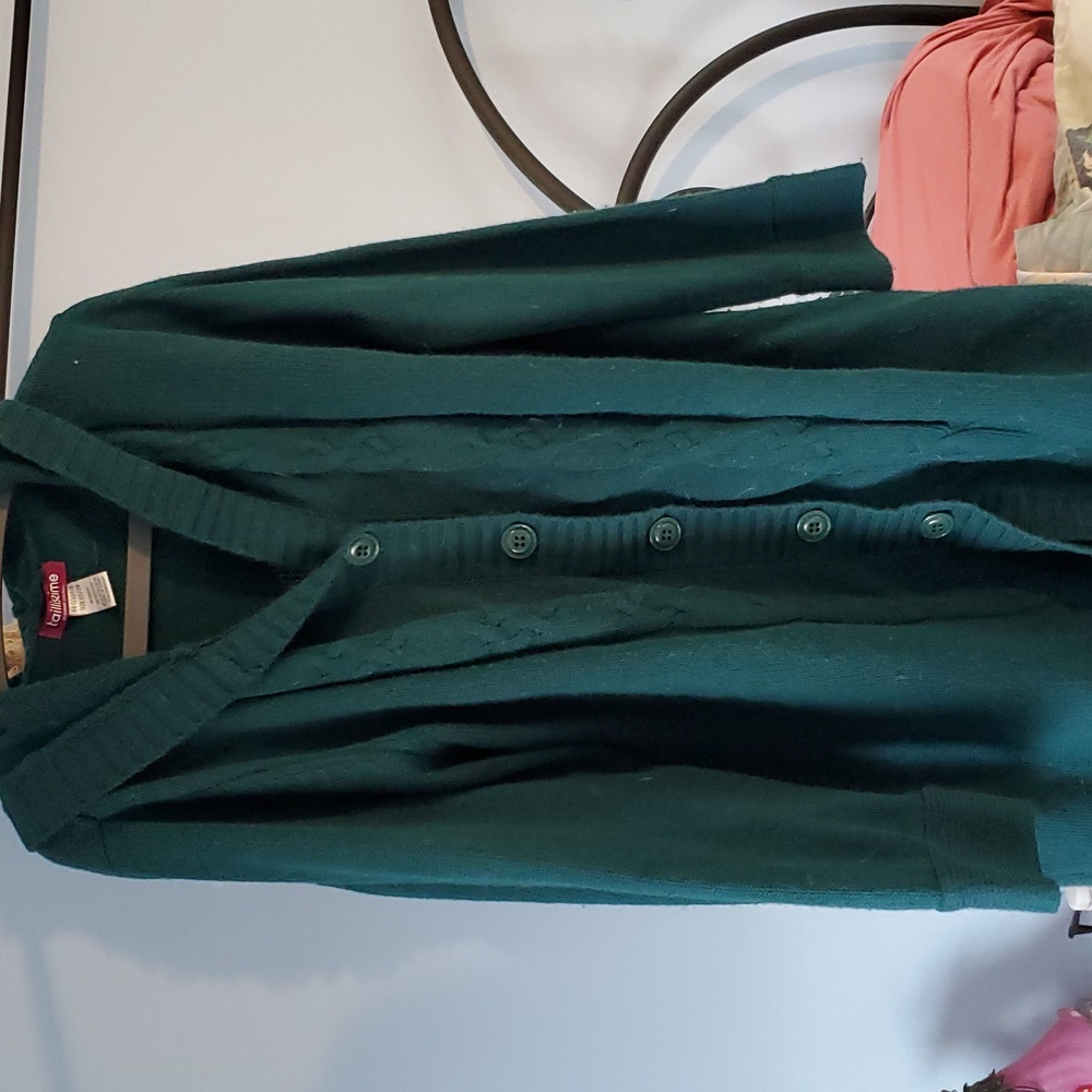 Taillisime dark green hooded button up sweater size 22/24
